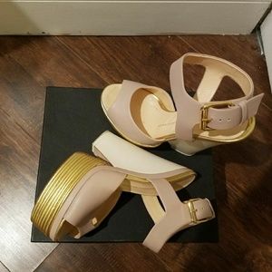Giuseppe zanotti